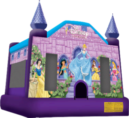 Disney Princess Castle Disney Princess Castle